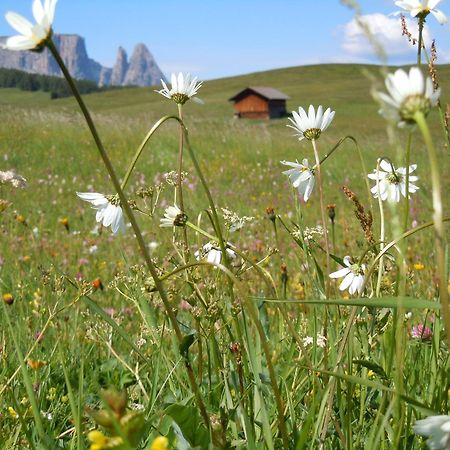 Feldererhof Villa Siusi Exterior photo